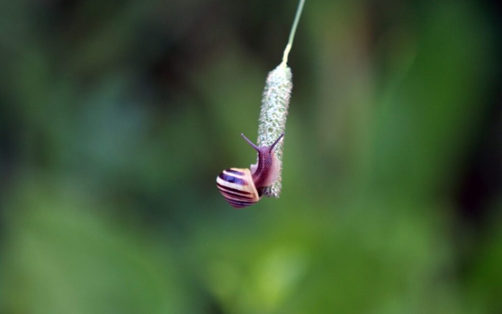 Hogyan légy kitartó a jógában?